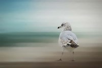 Waiting For The Tide Fine Art Print