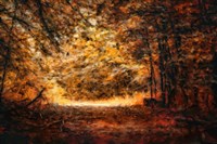 A Golden Journey Fine Art Print