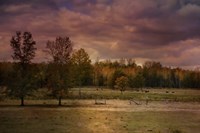 Autumn In The Country Fine Art Print