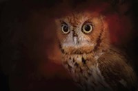 Halloween Owl Fine Art Print