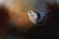 Nuthatch In Autumn Fine Art Print