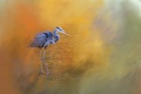 On The Cusp of Autumn Fine Art Print