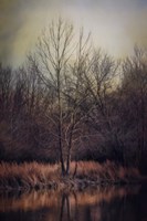 Warm Winter Peace Fine Art Print