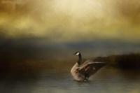 Autumn Afternoon Splash Fine Art Print