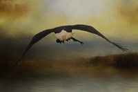 Big Catch 2 Fine Art Print