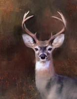Eight Point In Autumn Fine Art Print