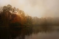 Foggy Morning At Lake LaJoie Fine Art Print