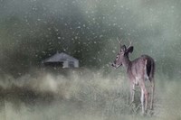 Heading Home In The First Snow Fine Art Print