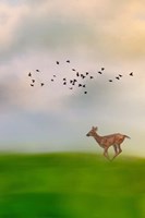 Racing Wings Fine Art Print