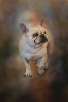 The Magic In Life Fine Art Print