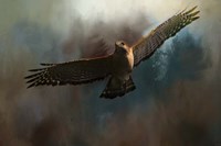 The Raptors Arrival Fine Art Print