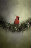Waiting On Christmas Fine Art Print