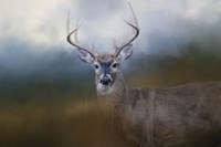 Big Boy Fine Art Print