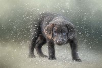 Her First Snow Fine Art Print