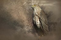 Patiently Waiting Fine Art Print