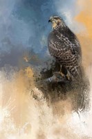 Redtail In Winter Fine Art Print