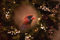 Resting In The Wreath Fine Art Print