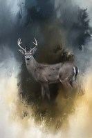 Shiloh Buck Fine Art Print
