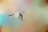 Silent Beauty Framed Print