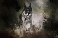 To The Rescue Fine Art Print