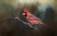 A Splash of Red Fine Art Print