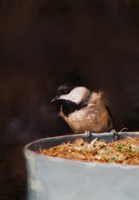 Hanging On The Edge Fine Art Print