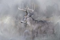 Meeting Winter Head On Fine Art Print