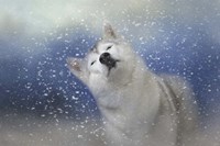 My Favorite Thing About Winter Fine Art Print