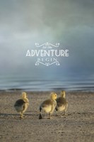 The First Big Adventure with words Fine Art Print
