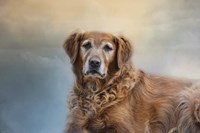 The Older I Get Fine Art Print