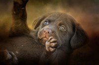 Welcoming The Sun Fine Art Print