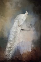 White Beauty Fine Art Print