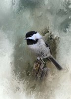 Winter Chickadee Fine Art Print