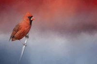 Challenged Fine Art Print