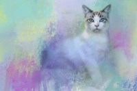 Dreaming of Spring Fine Art Print