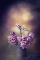 Finch And The Flowers Fine Art Print