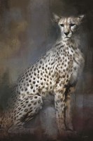 Patience Framed Print