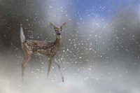 Step Out In Faith Fine Art Print