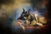 Watching The Drama Fine Art Print