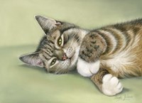 Green Eyes Fine Art Print