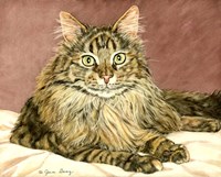 Lady Pounce Fine Art Print