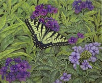 Serendipity Fine Art Print