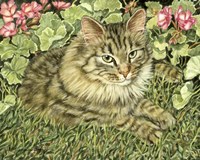 Tiger Fine Art Print