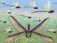 Crossways Fine Art Print