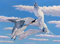 Flying Kiss Fine Art Print