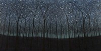 Starry Trees Fine Art Print