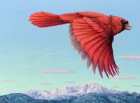 With Purpose Fine Art Print