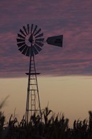 Windmill Fine Art Print