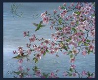 Broad Tailed Hummer Fine Art Print