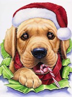 Santa? Fine Art Print